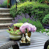 Quackhaven Duck Family - Decorative Outdoor Fountain for Tranquil Gardens 3